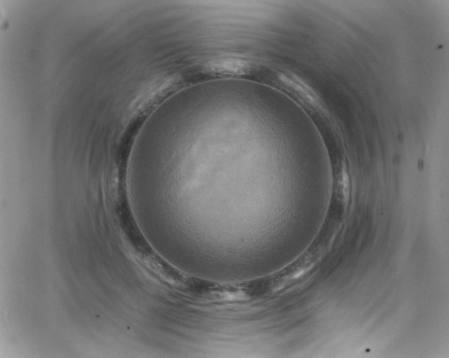 X0000066520552200603201326