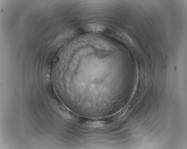 X0000066520553200603201326