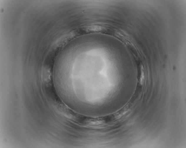 X0000066520555200603201326