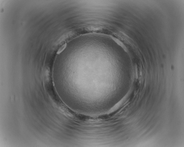 X0000066520556200603201326