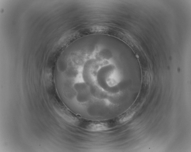 X0000066520557200603201326