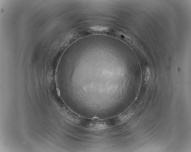 X0000066520559200603201326