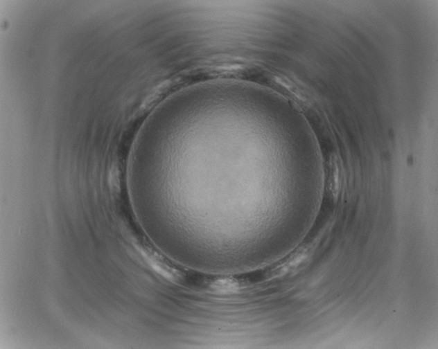 X0000066520562200603201326