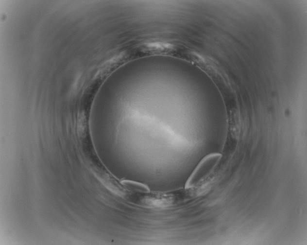 X0000066520563200603201326