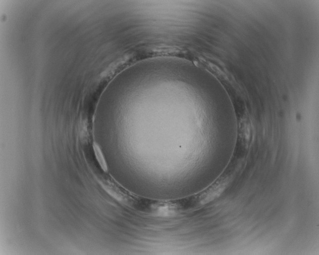 X0000066520564200603201326