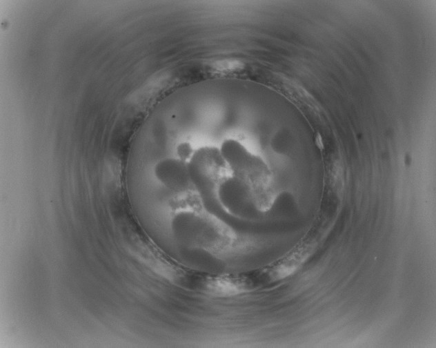 X0000066520565200603201326