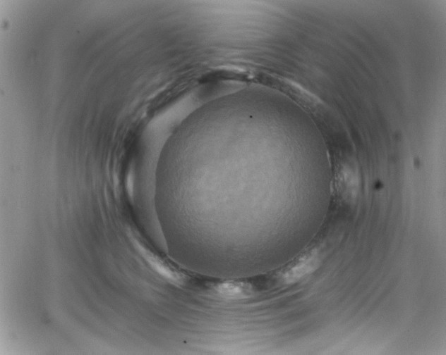 X0000066520566200603201326