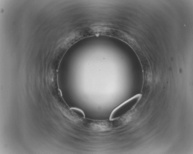 X0000066520567200603201326