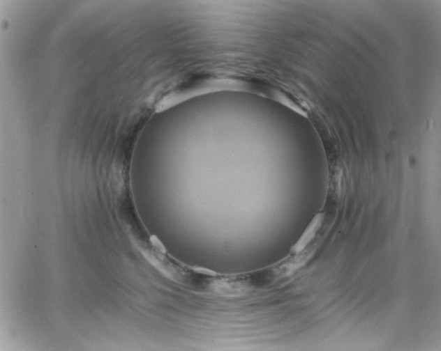 X0000066520568200603201326