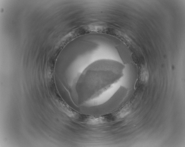 X0000066520569200603201326