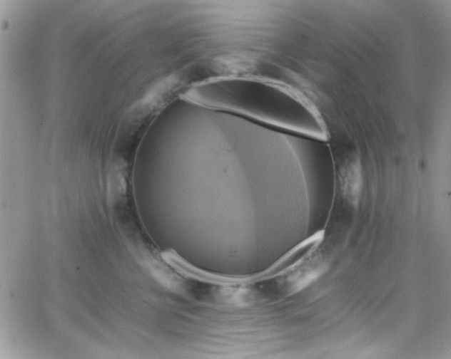 X0000066520570200603201326