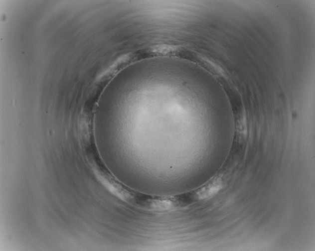 X0000066520572200603201326