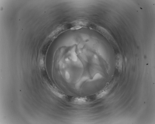 X0000066520573200603201326