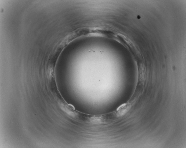 X0000066520574200603201326