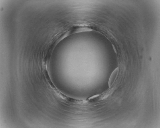 X0000066520576200603201327