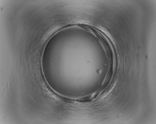 X0000066520577200603201326