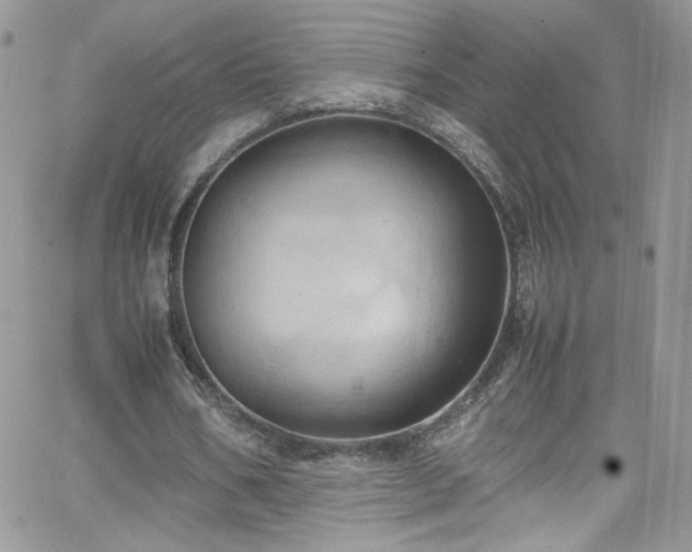 X0000066520578200603201326