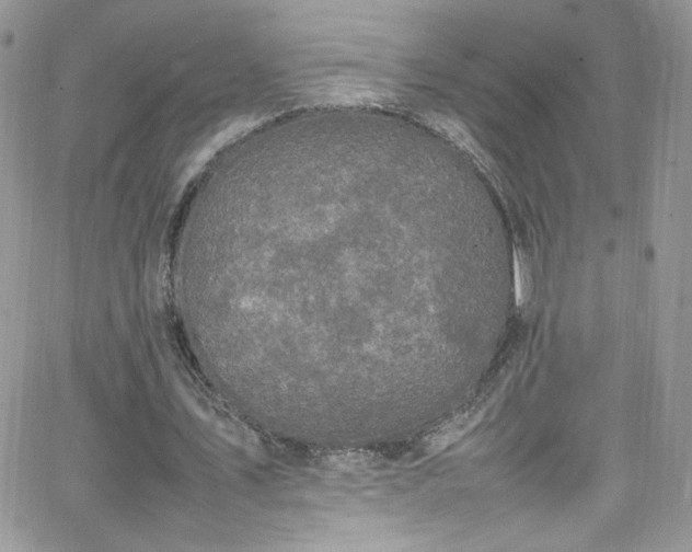 X0000066520579200603201326