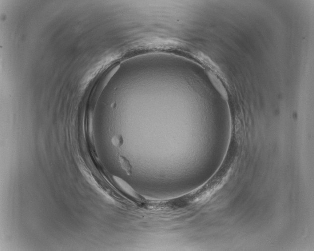 X0000066520581200603201326