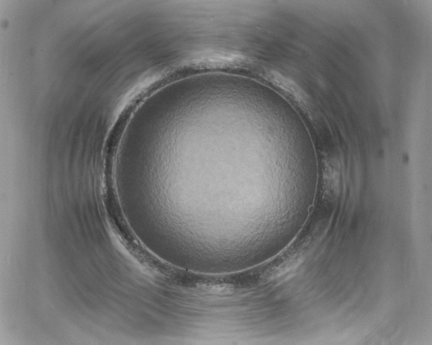 X0000066520582200603201326