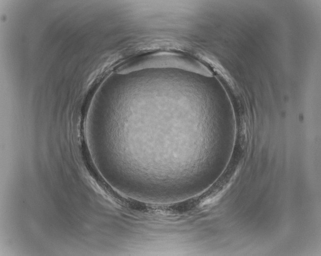 X0000066520585200603201326