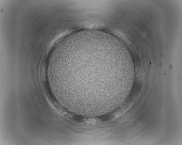 X0000066520587200603201326