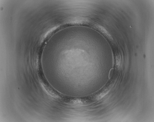 X0000066520588200603201326