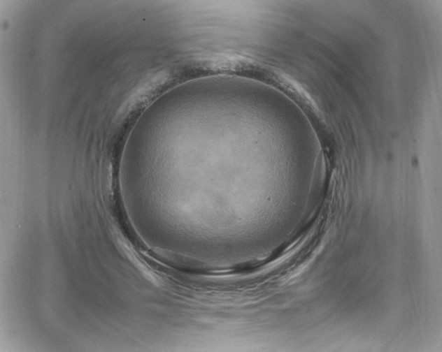 X0000066520589200603201326