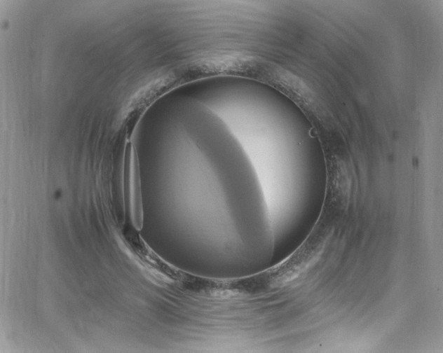 X0000066520590200603201326