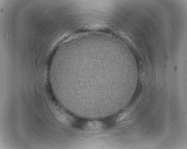 X0000066520591200603201325