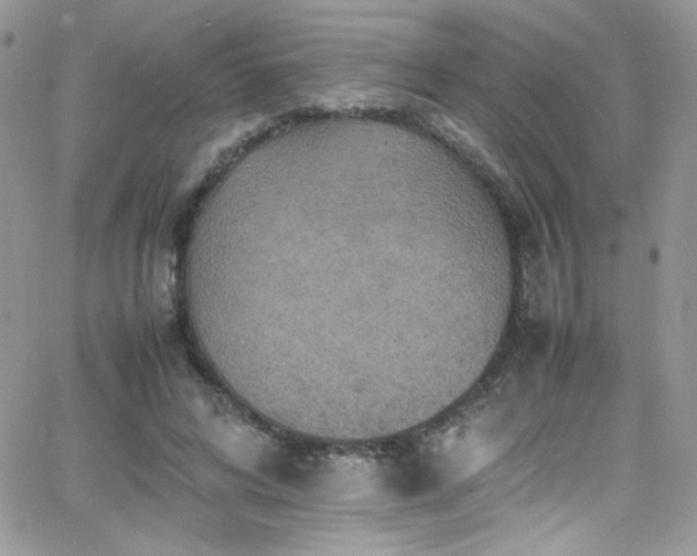 X0000066520592200603201325