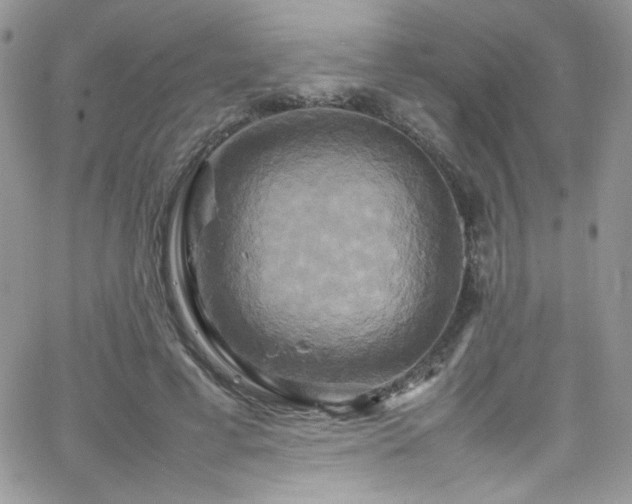 X0000066520593200603201325