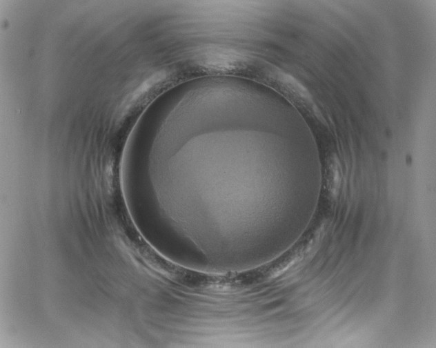 X0000066520596200603201325