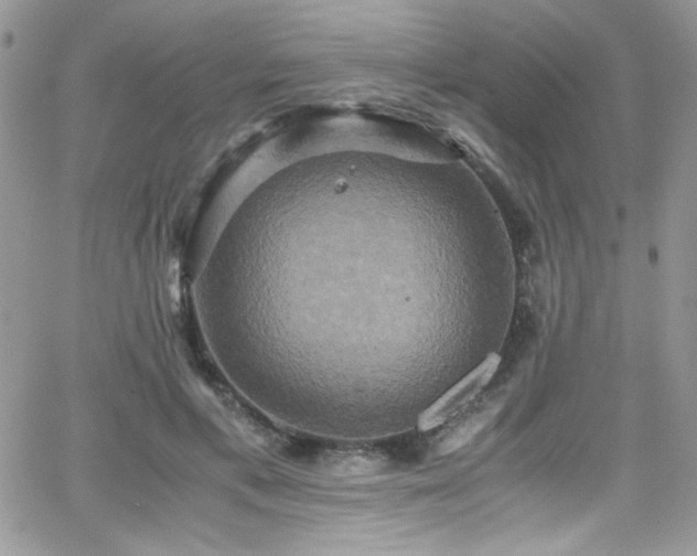 X0000066520597200603201325