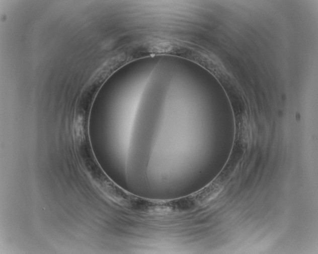 X0000066520598200603201325