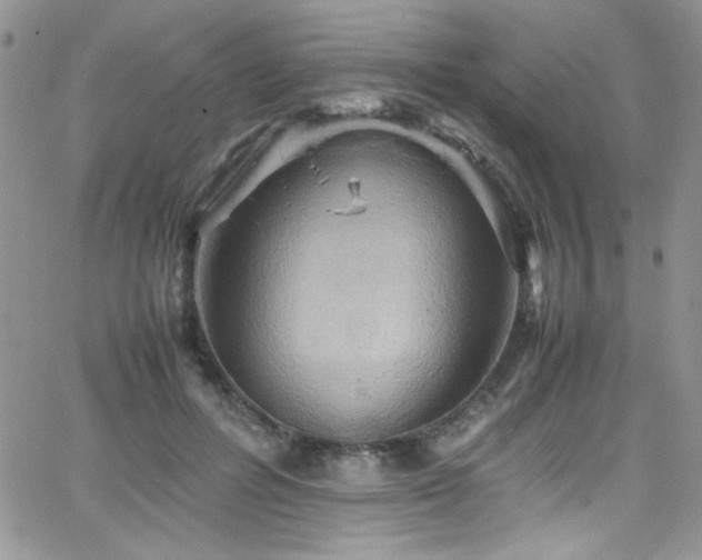 X0000066520600200603201325