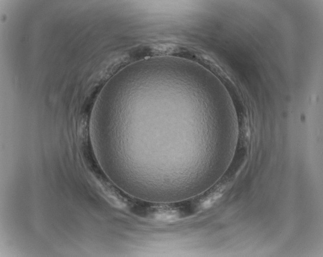 X0000066520601200603201325