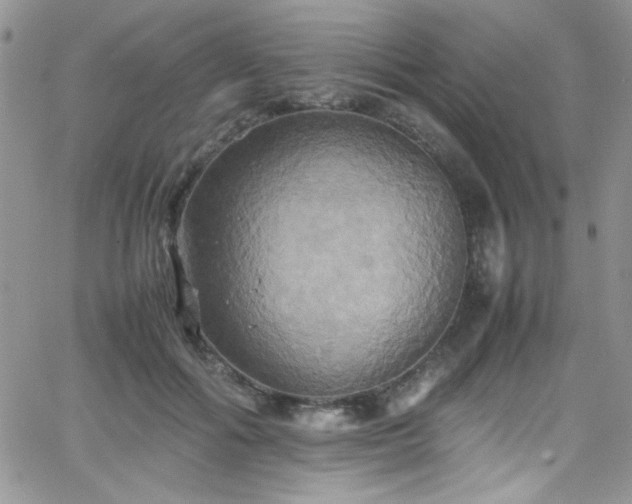 X0000066520602200603201325