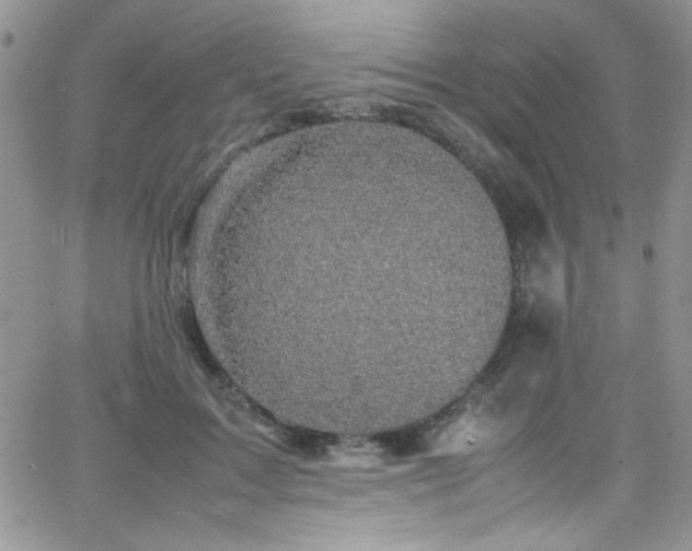 X0000066520603200603201325