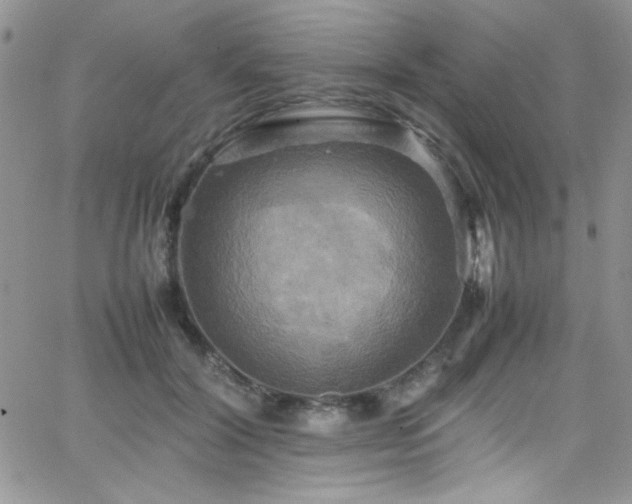 X0000066520604200603201325