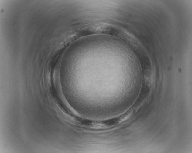 X0000066520605200603201325