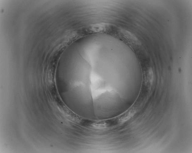 X0000066520606200603201325