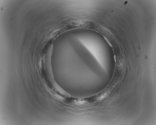 X0000066520607200603201325