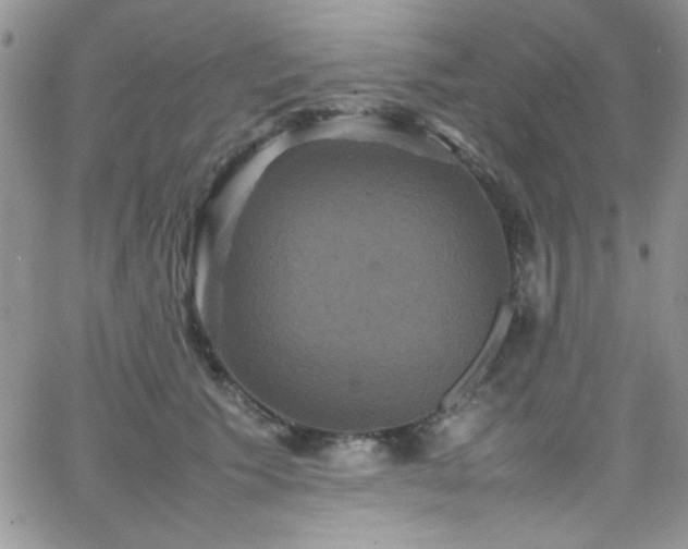 X0000066520609200603201325