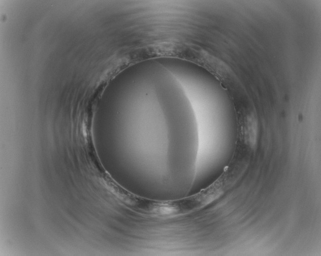 X0000066520610200603201325