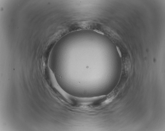 X0000066520611200603201325