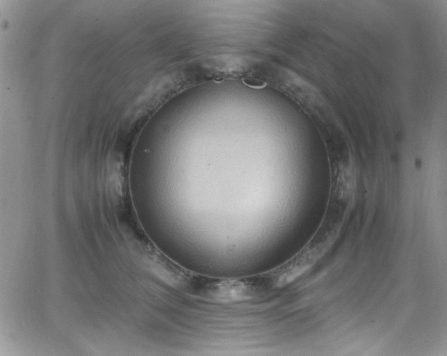 X0000066520612200603201325