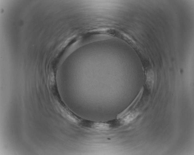 X0000066520617200603201325