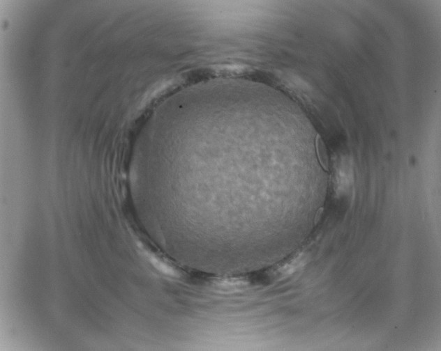 X0000066520619200603201325