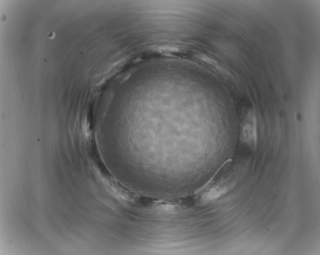 X0000066520620200603201325